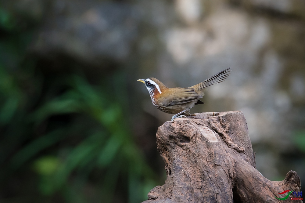 �ؾ�������