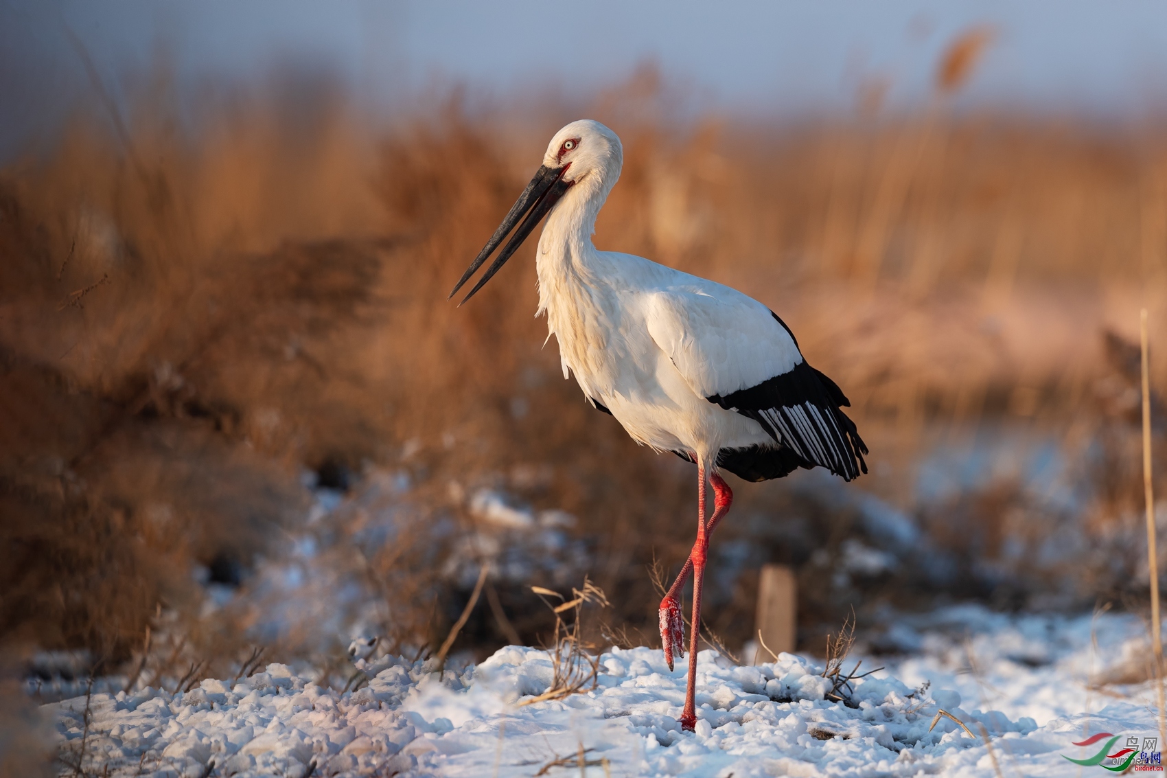 쫷�֮�� ��ʦ����������ʡ�̽���.jpg