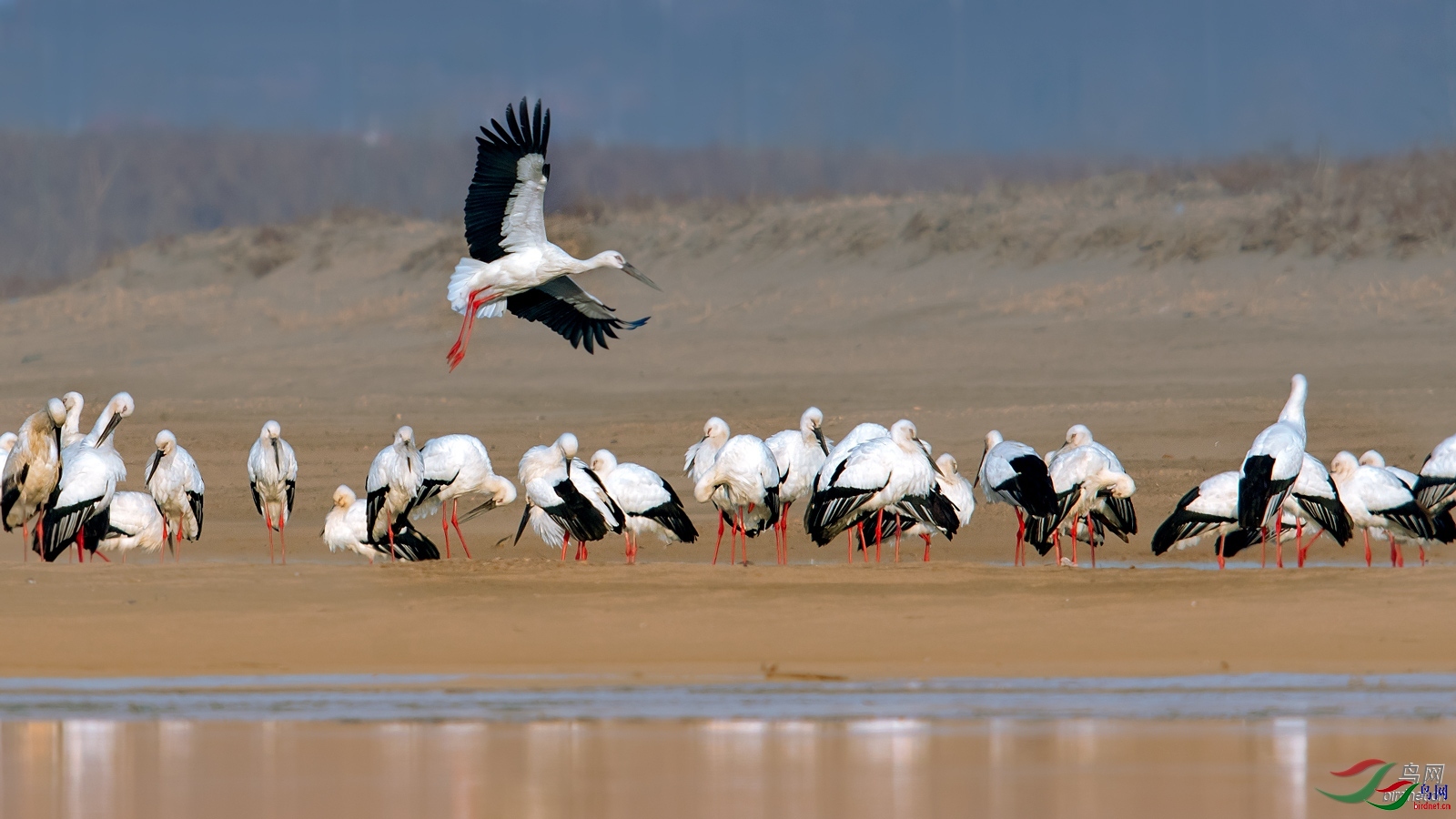 ��ˮ���� ��ʦ����������ʡ������.jpg