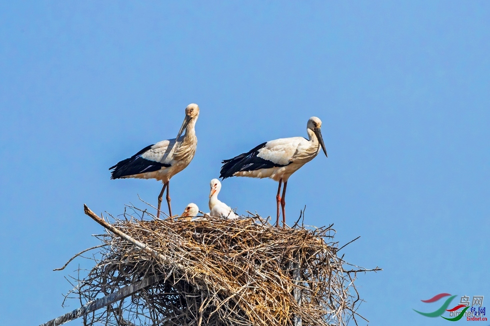 �Ű�  ��ʦ�����ڽ���ʡ�����и�����.jpg