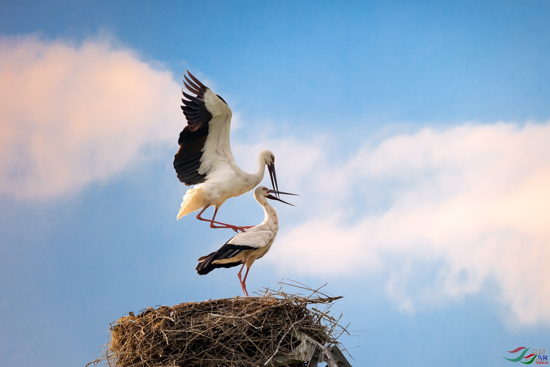 ��Ƥ���� ��ʦ�����ڽ���ʡ�����и�����.jpg