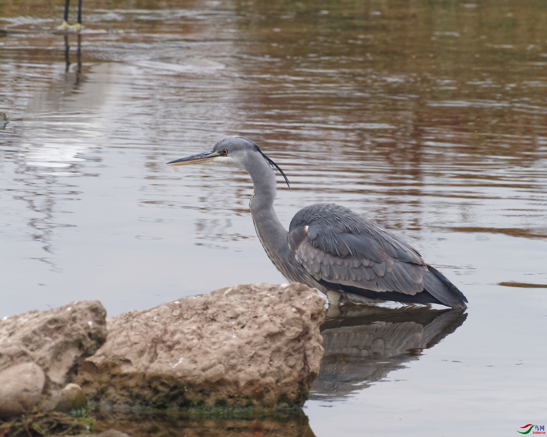 PC100020_DxO-d2.jpg