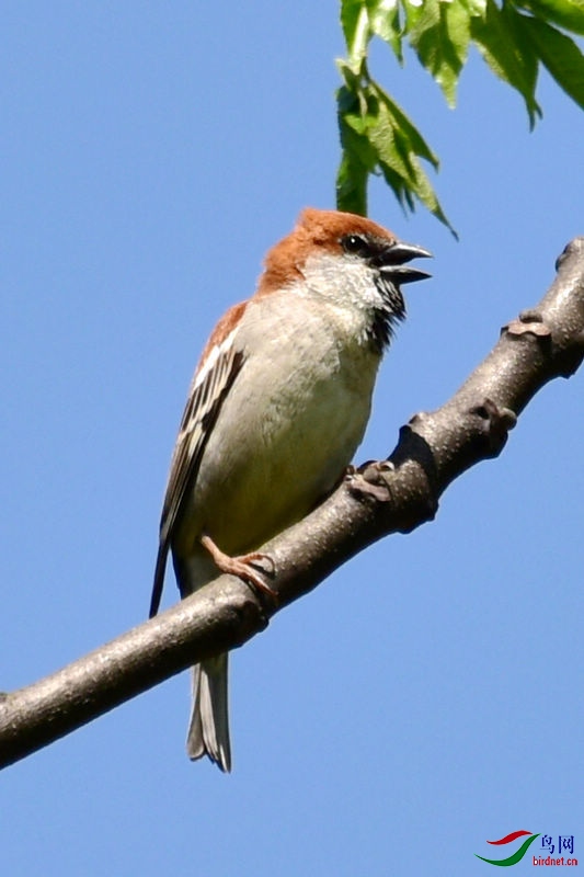 DSC_9440.jpg