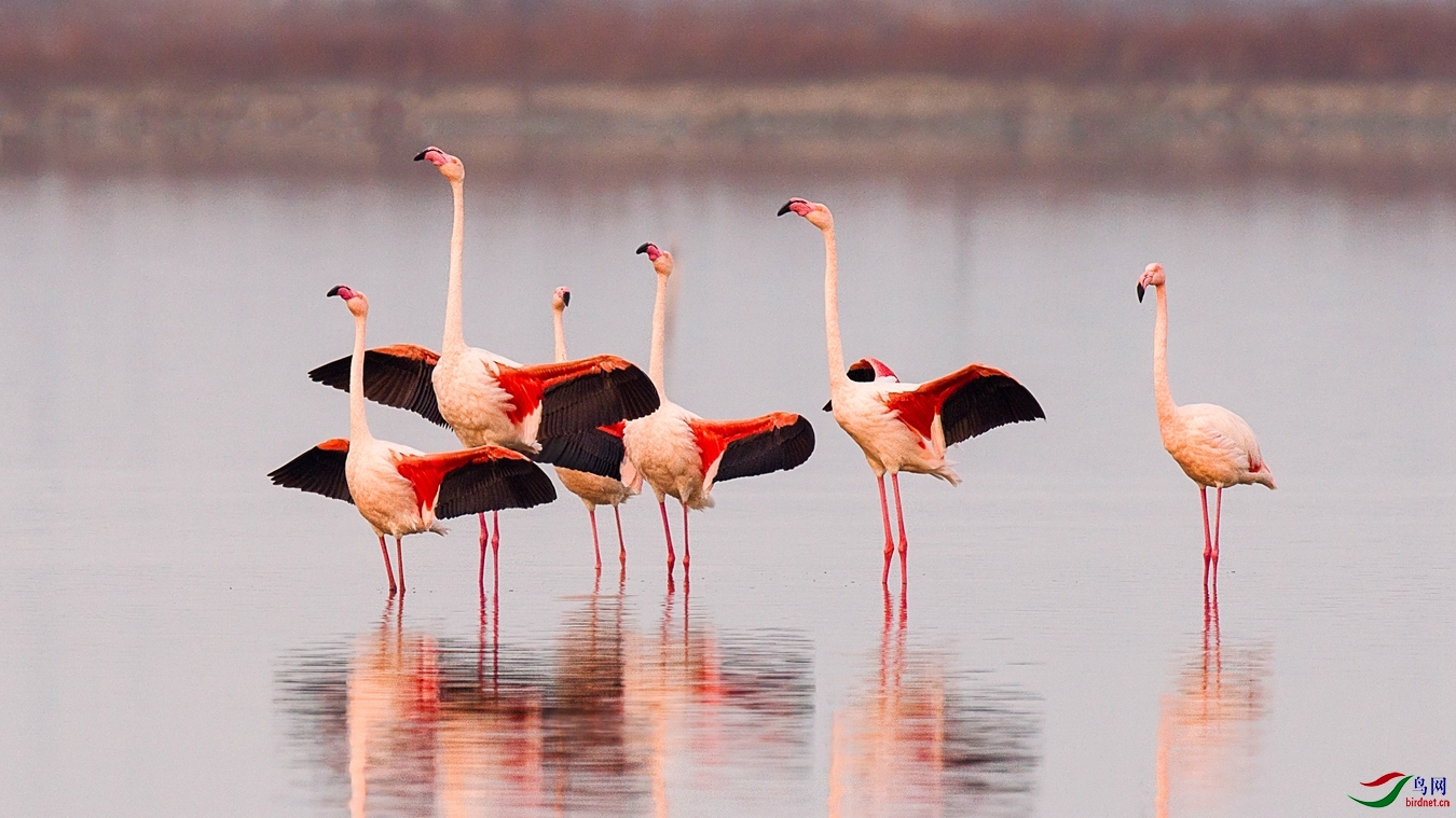 XCG_1506 - ����.jpg