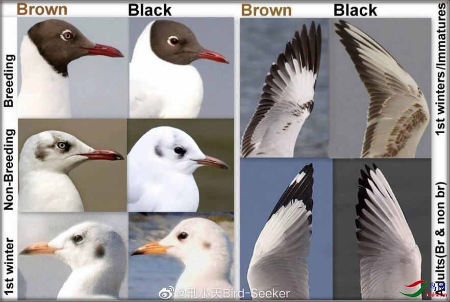 ����2020-12-11 11.08.32.jpg