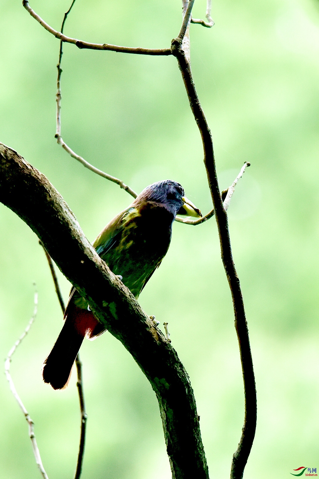 DSC_0387.JPG