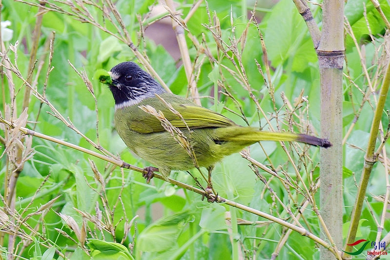 DSC_0108.jpg