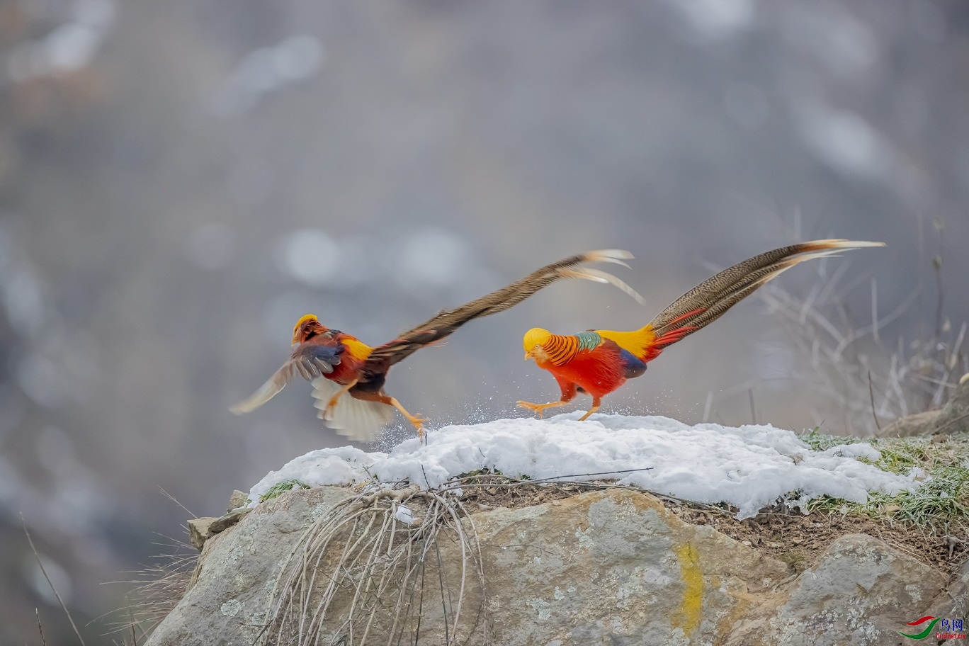 �ҵĵ���������