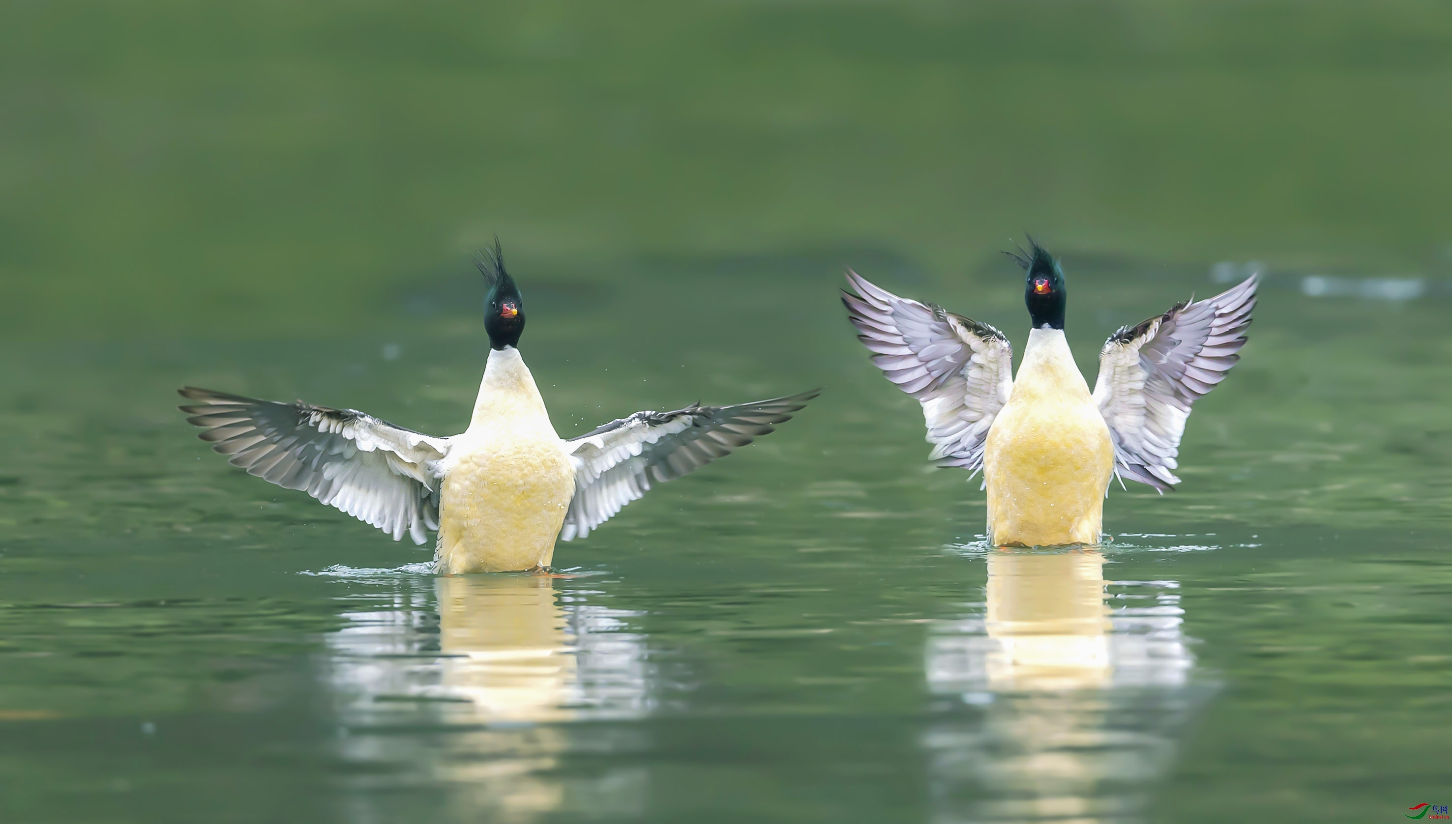 DSC_6734add22ff.jpg