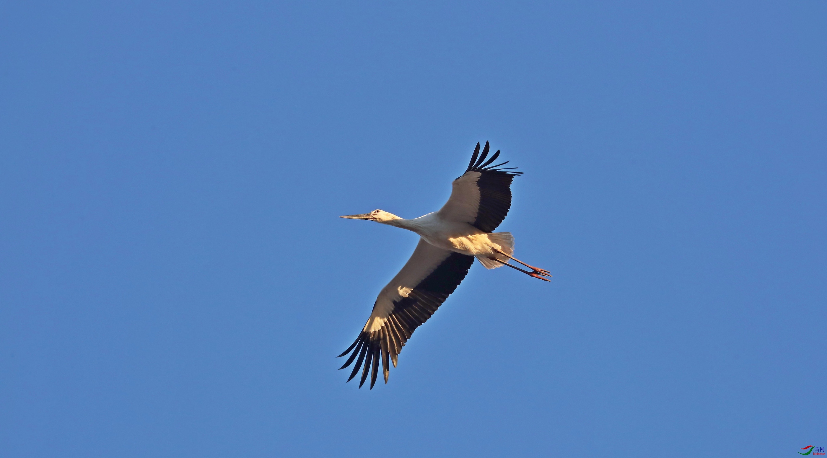 AX8I8502.jpg