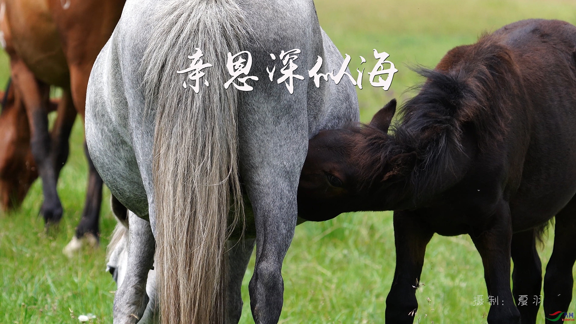 �׶����ƺ� ���� 01.00_00_08_25.Still001-2.jpg