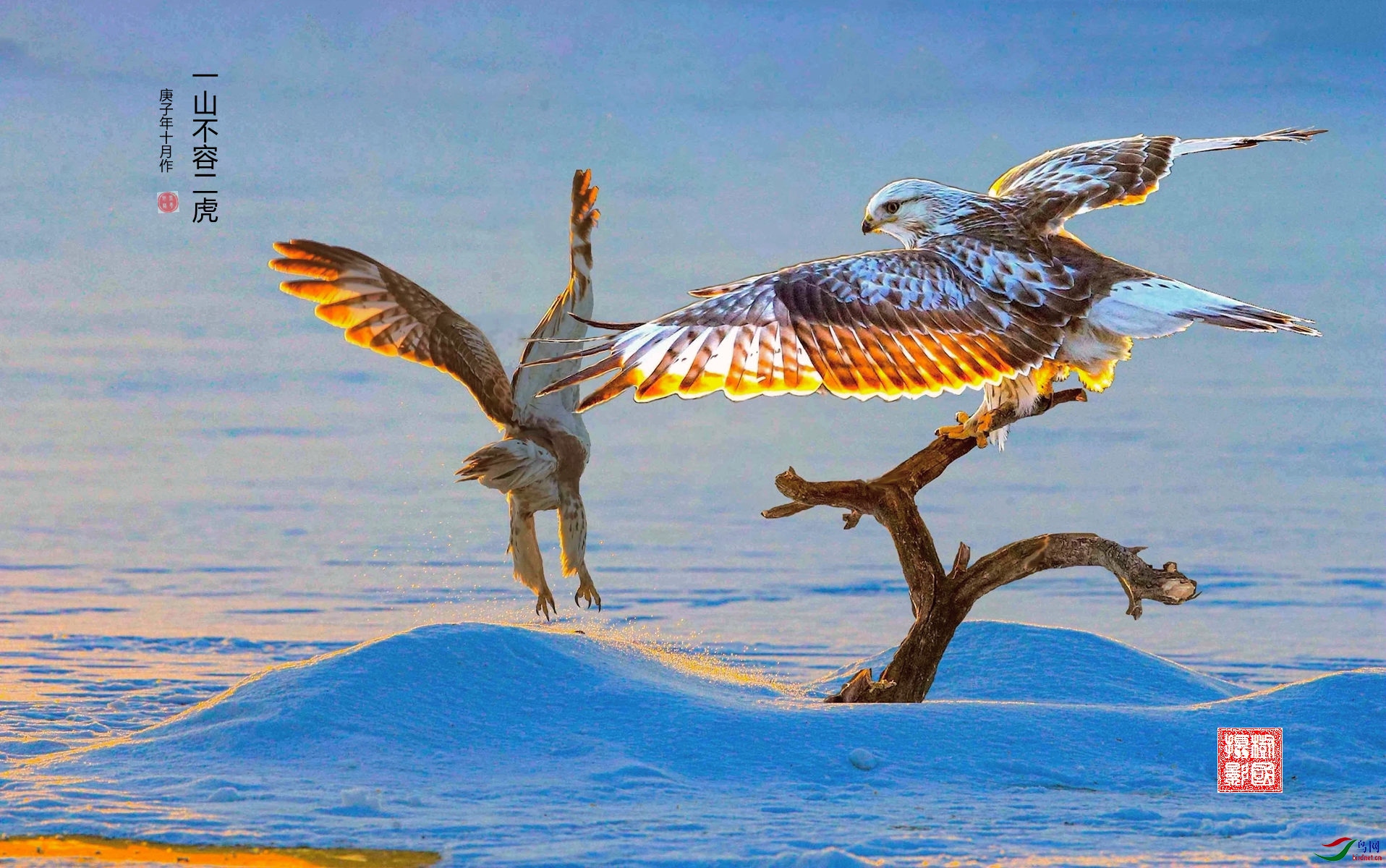 BE7W4026 - ����.jpg