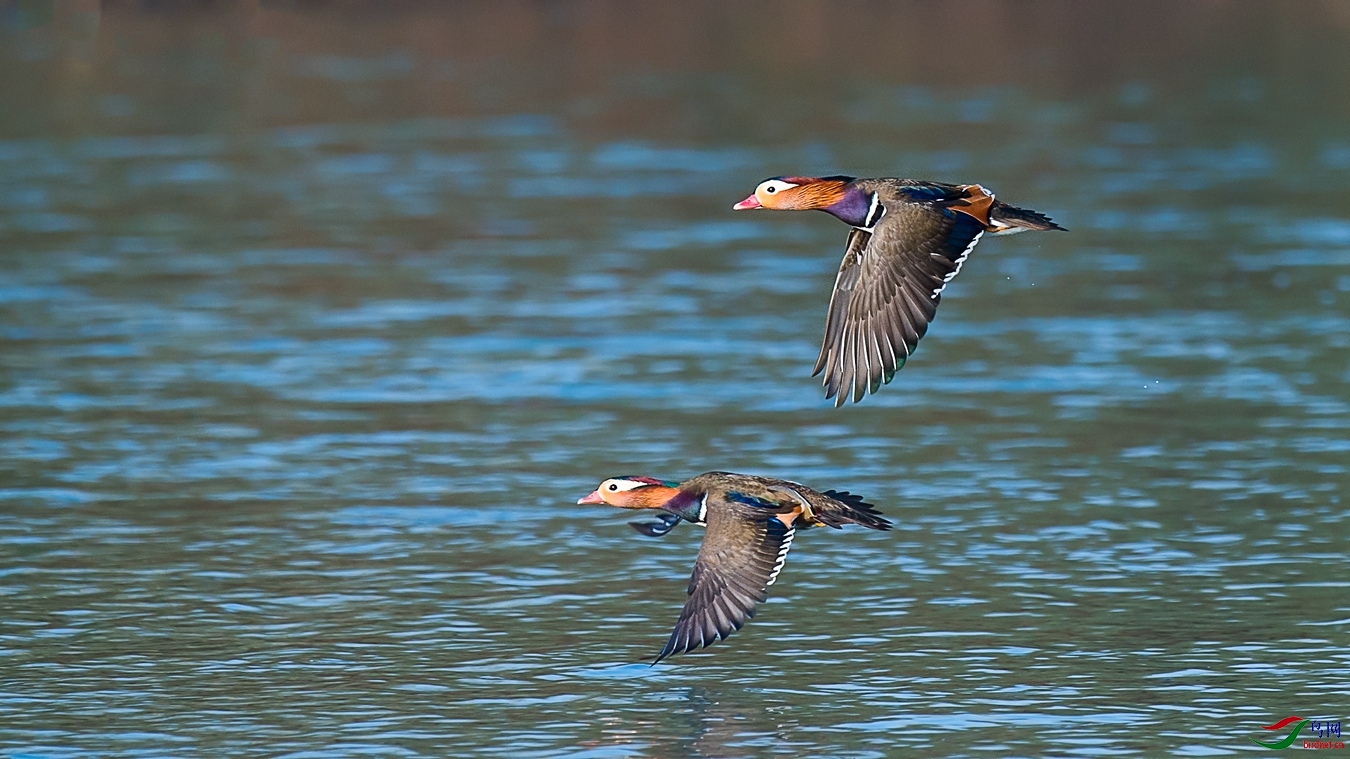 XCG_2824 - ����.jpg