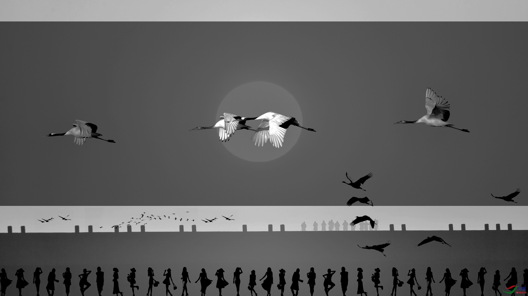 IYK_2156 ����_����.jpg