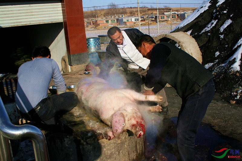 7 ɱ����.jpg