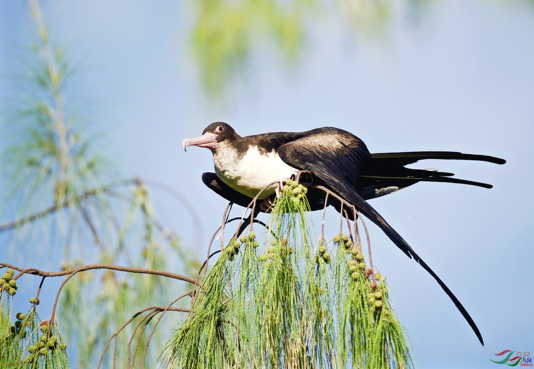 ��Ӱ���� (2).jpg