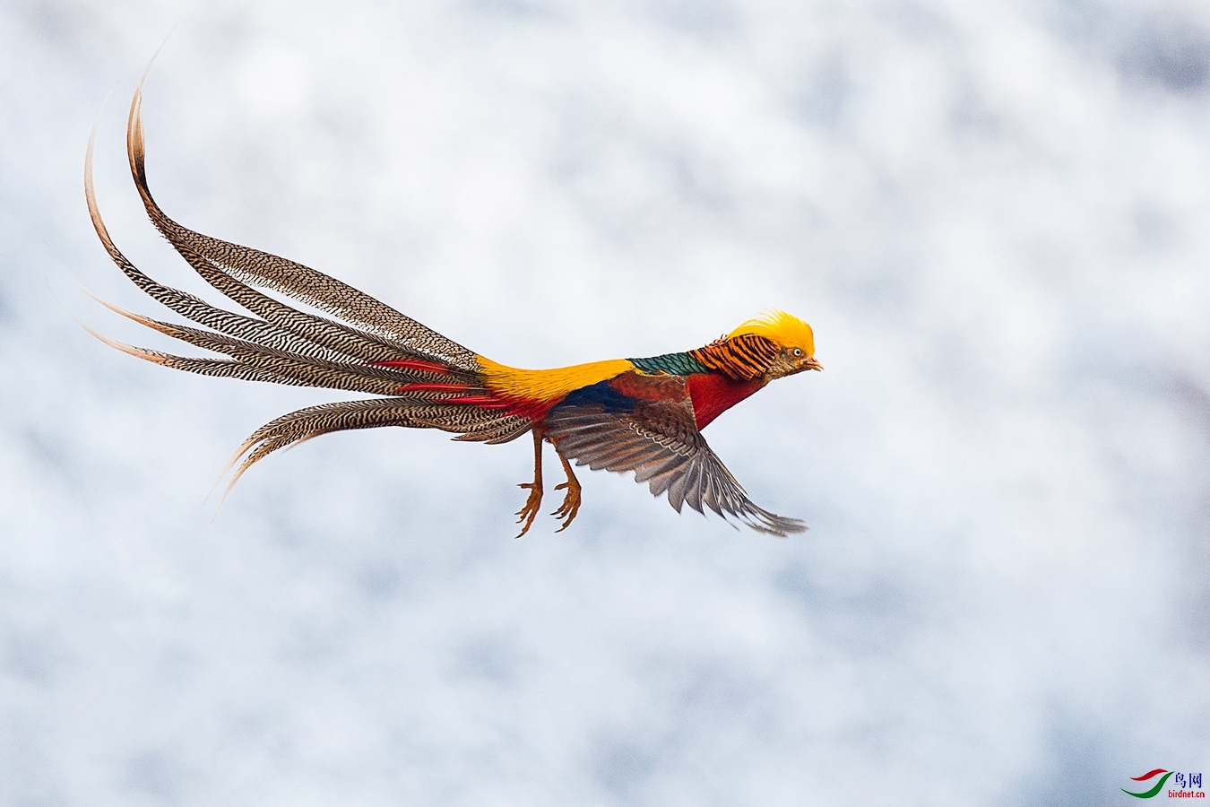 XCG_1785 - ����.jpg