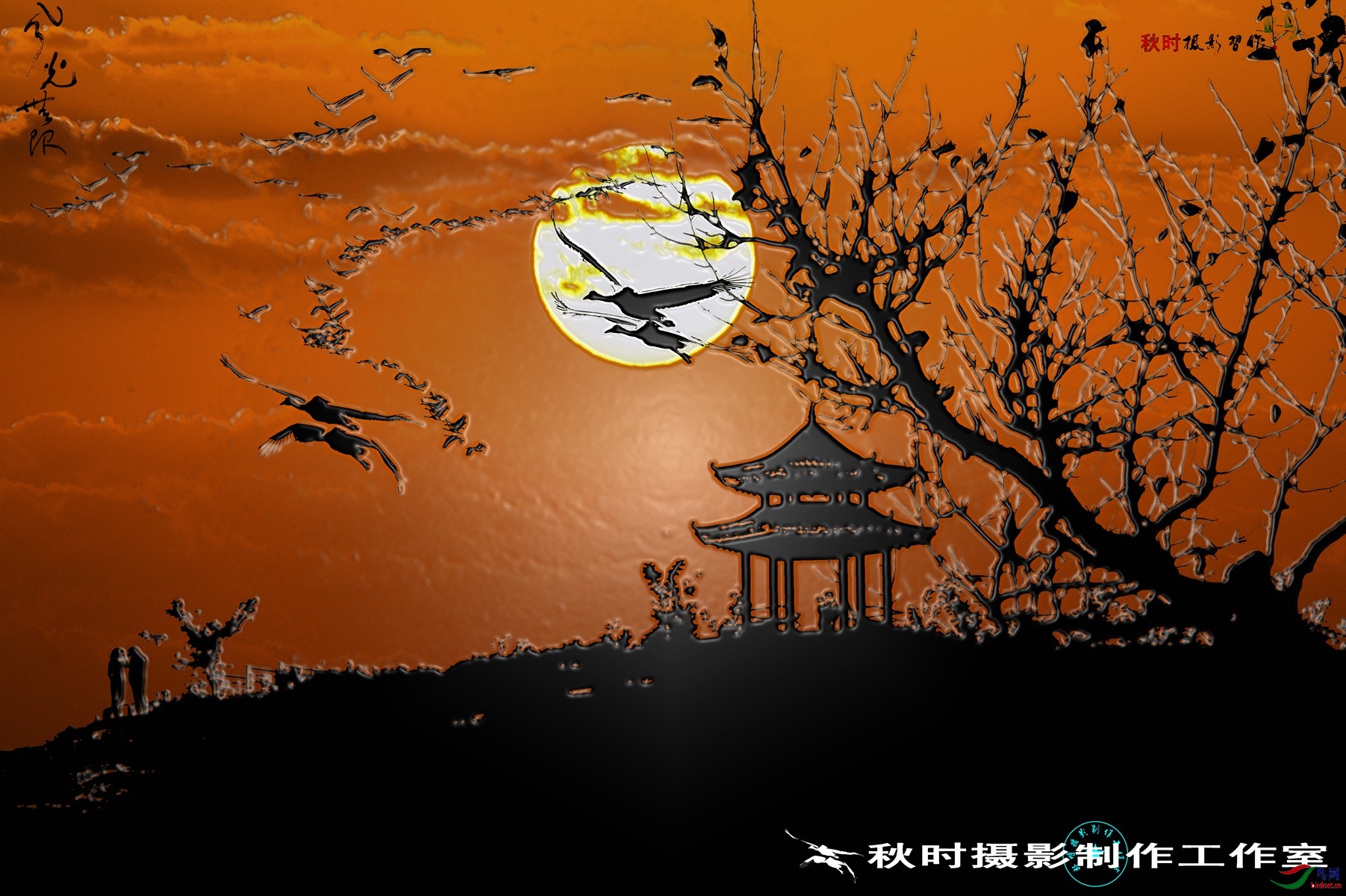 DSC_3191 ���� 5_����.jpg