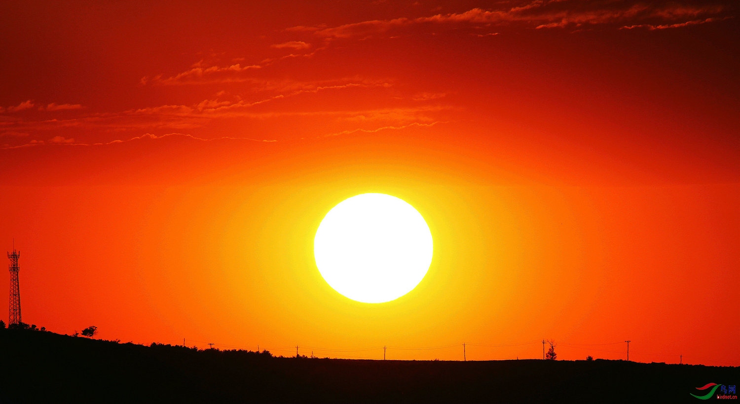 苍茫大漠落日圆
