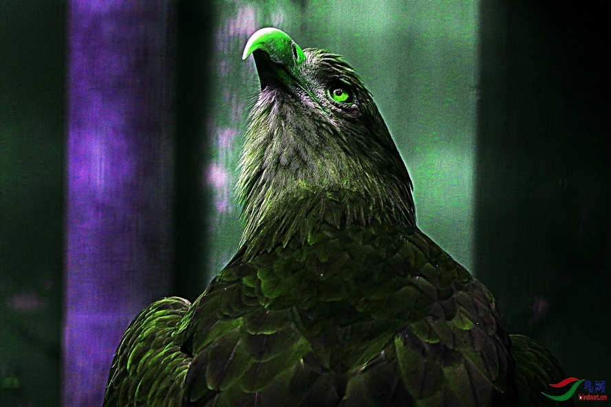 69_����_����2_���� - ����.jpg