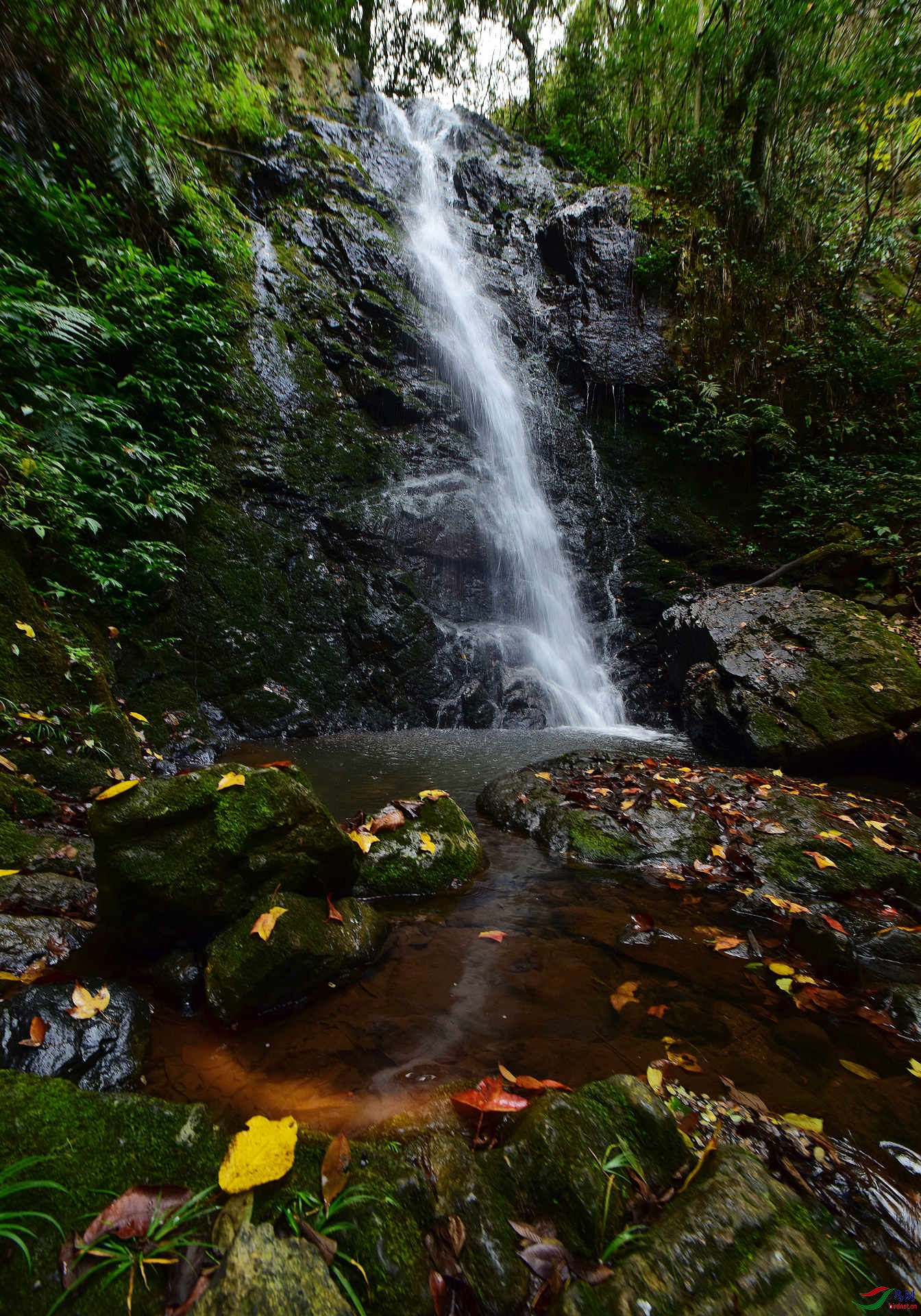 高山流水