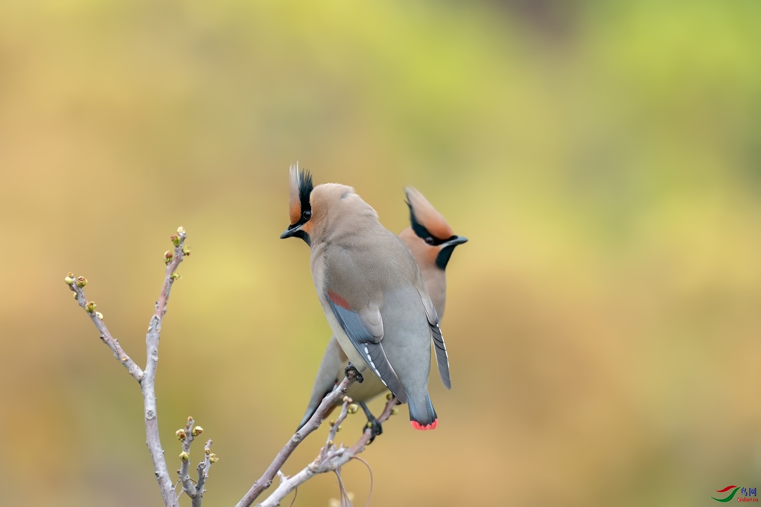 A9D06535a.jpg