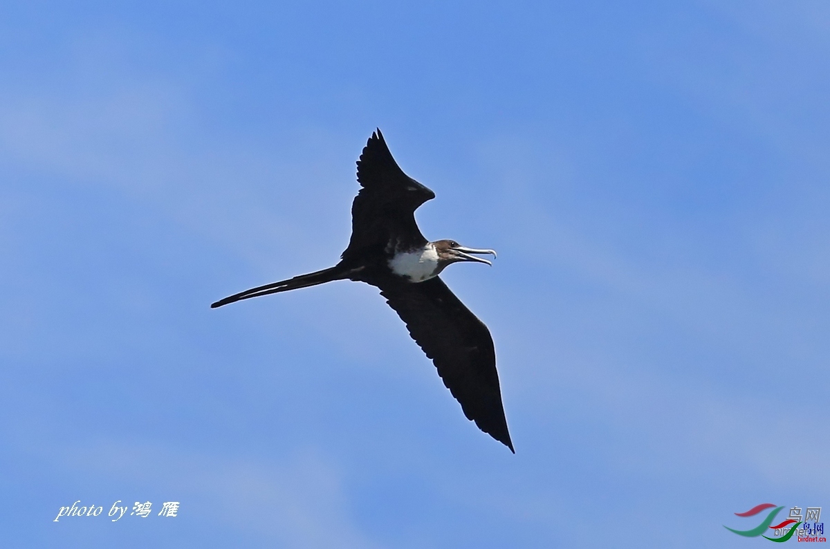 ����  ��ʦ�����ڰ���.jpg