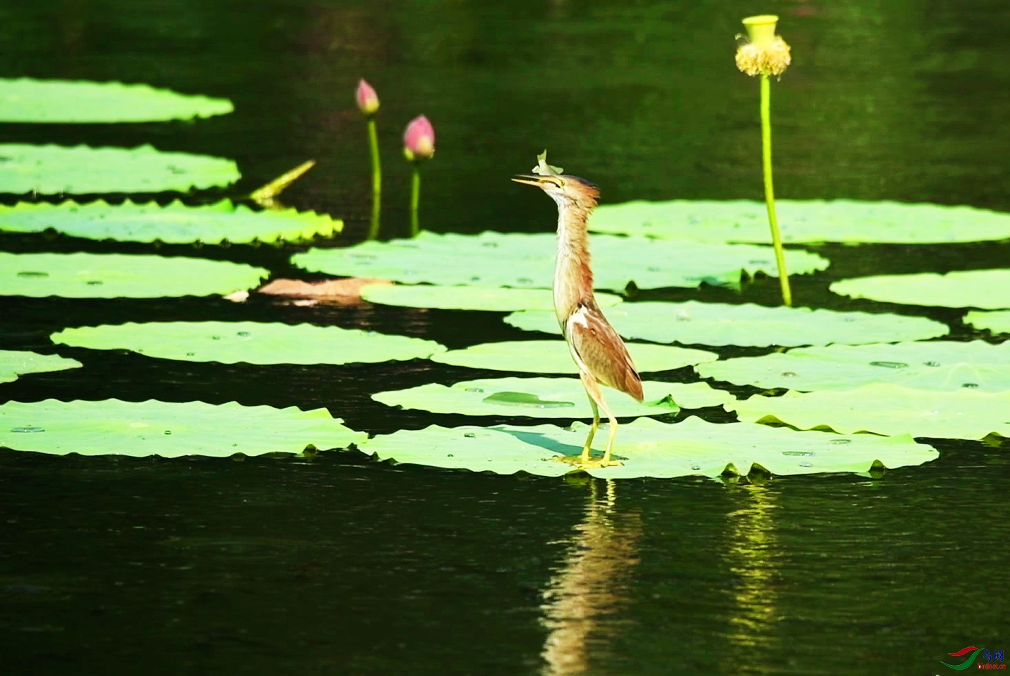 DSC_5029 00_00_19-00_00_34_Moment-7-P-1-01-01.jpg