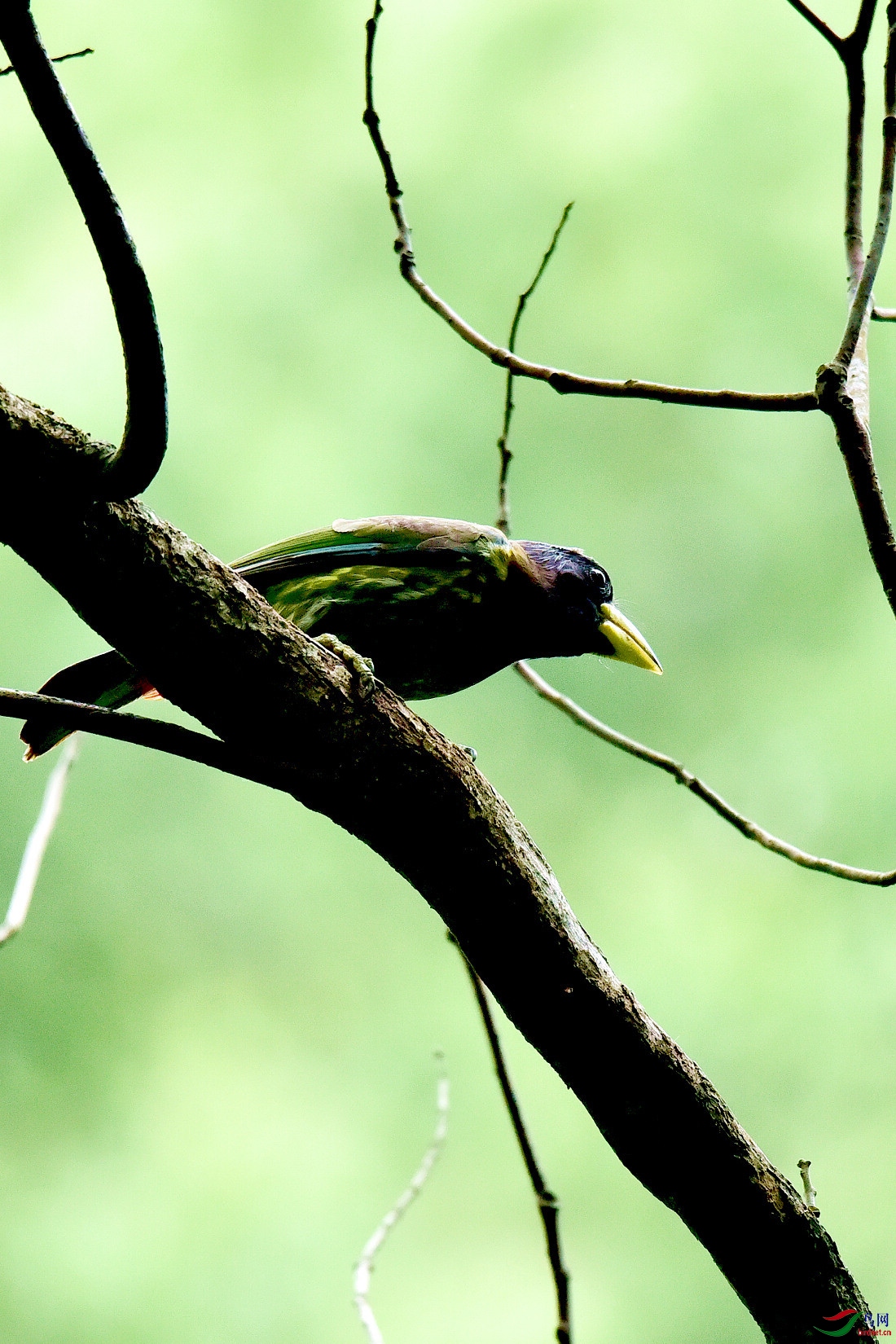 DSC_0418.JPG