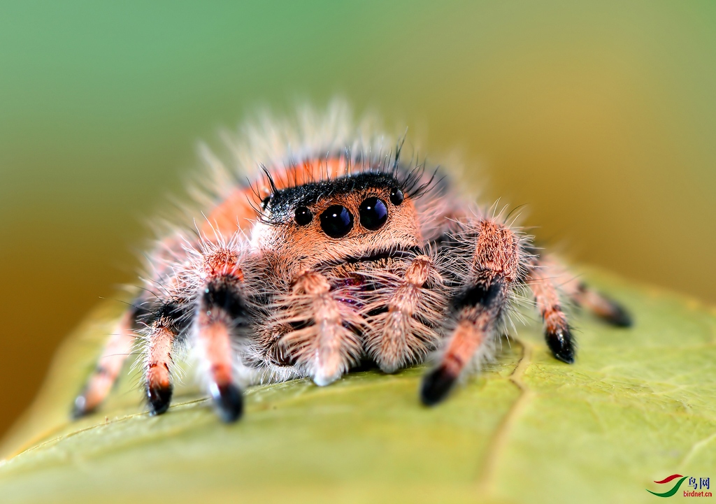 DSC_1685 ��������.jpg