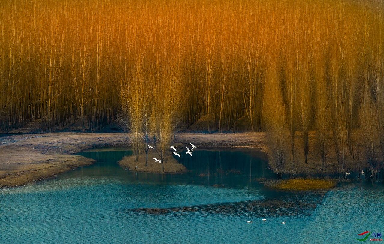 ����ʪ��_DSC6362.jpg