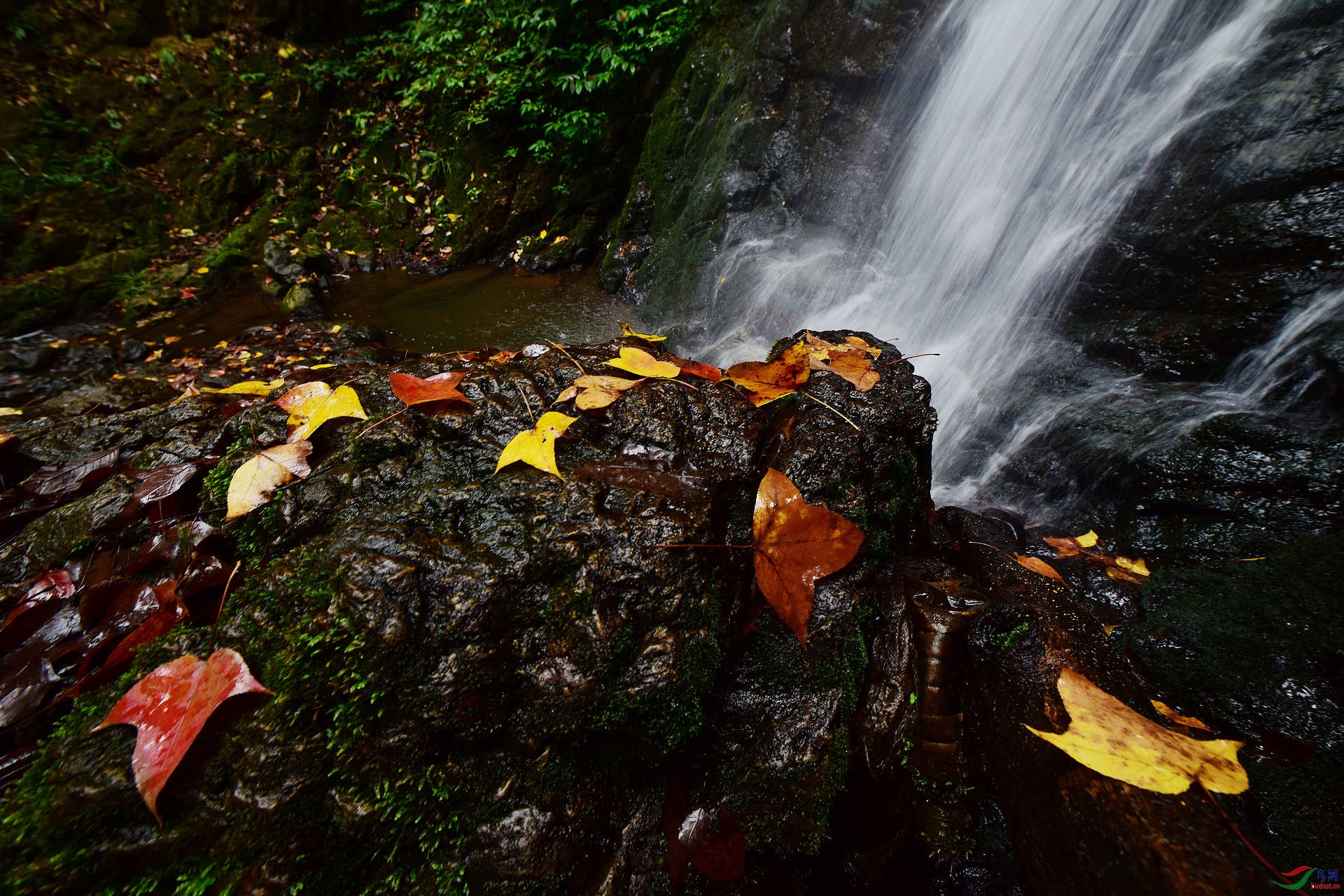 D8I_0087.jpg