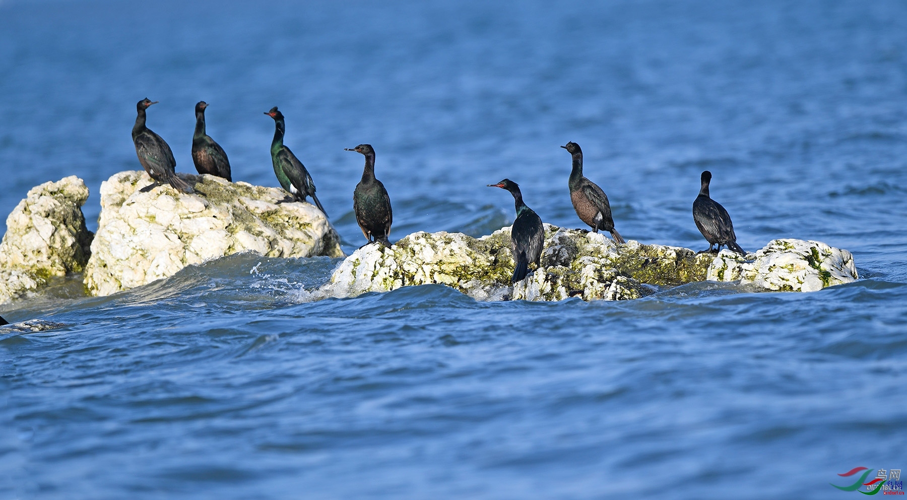 ��������  ��ʦ����������ʡ������ׯ����.jpg