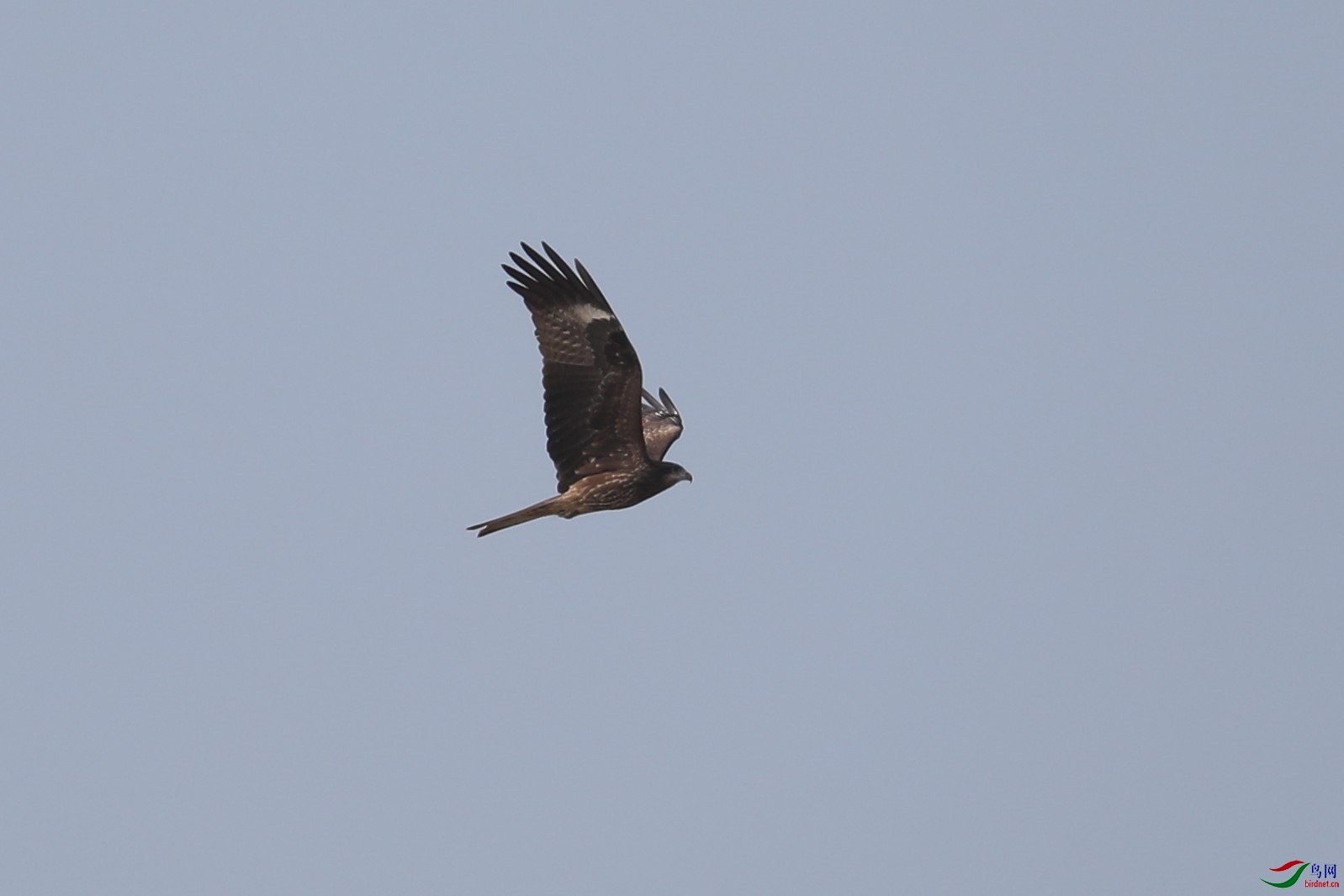 BL7A0023.jpg