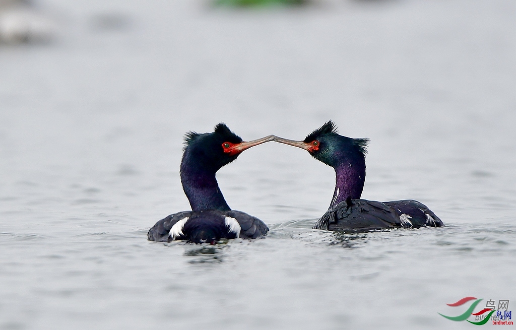 ����  ��ʦ����������ʡ������ׯ����.jpg