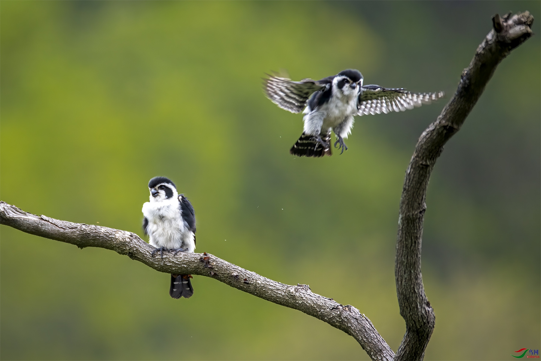 DSC_7815-1.jpg