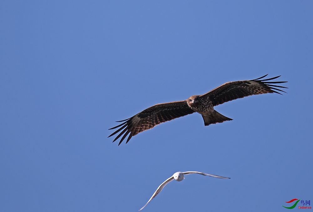 DSCF5576.1.jpg