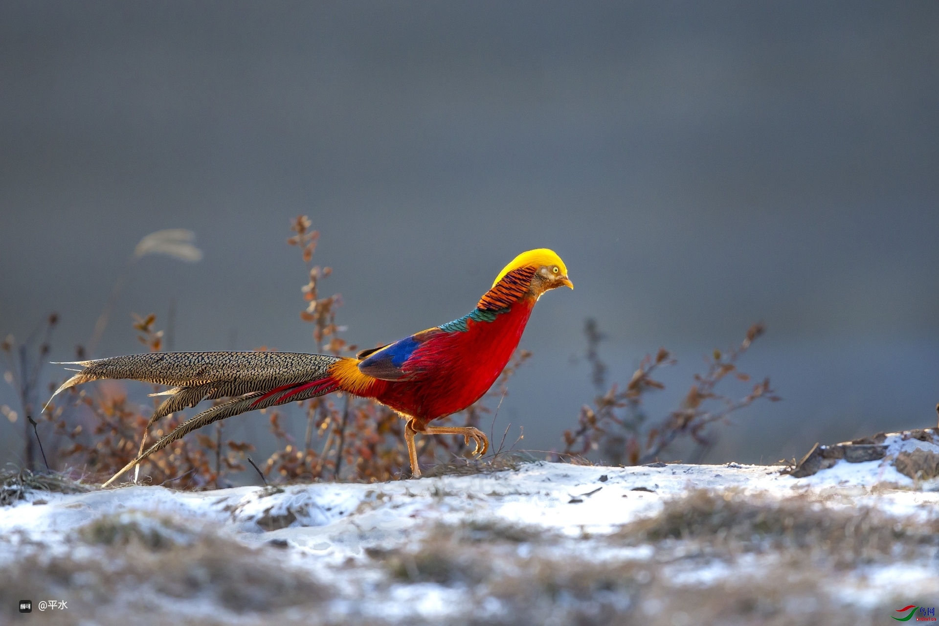 ���� (5).jpg