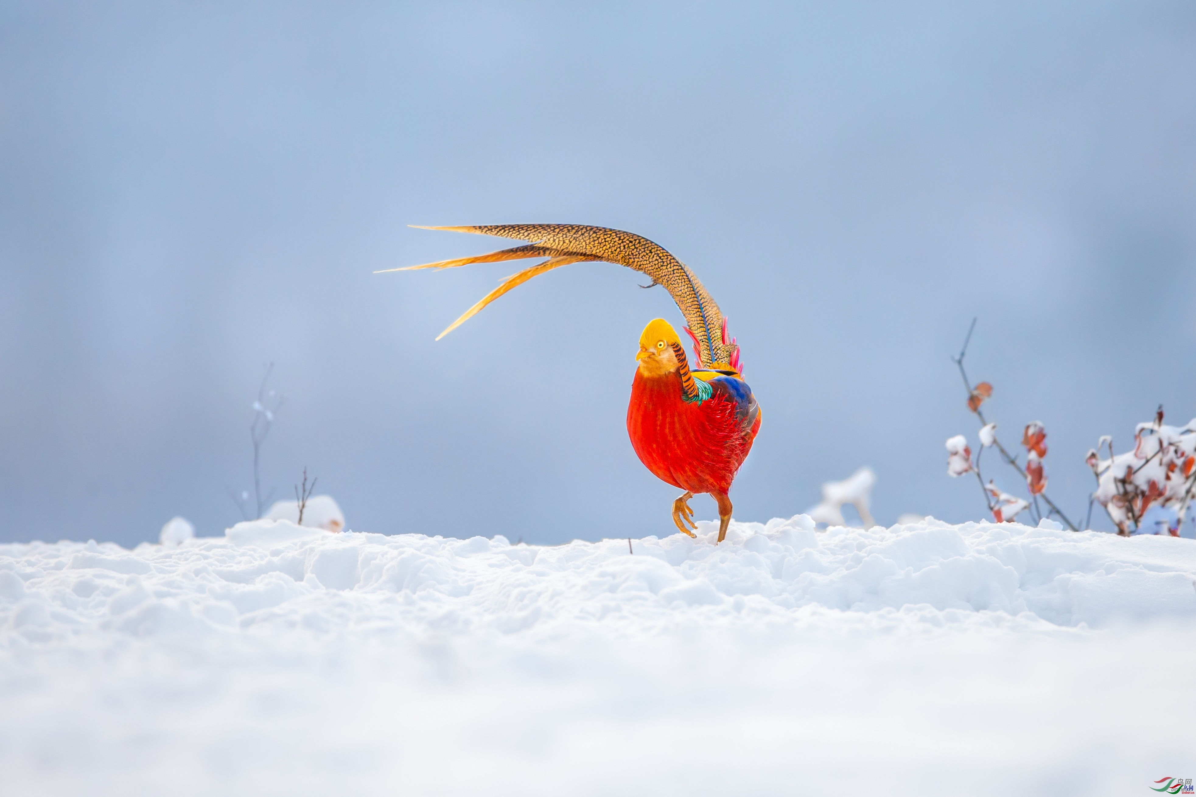 ���� (4).jpg