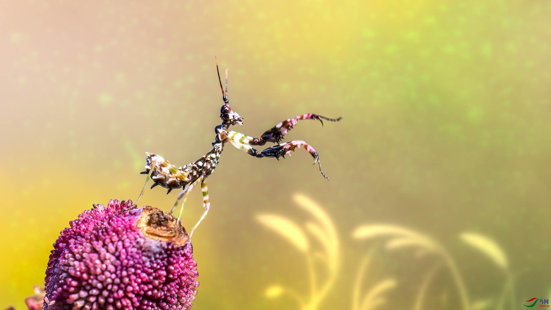 2S6A2422-1.jpg