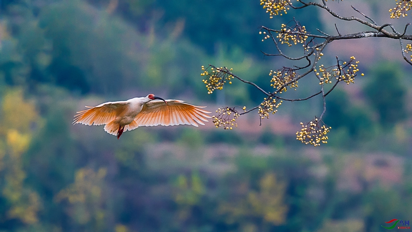 XCG_8936 - ����.jpg