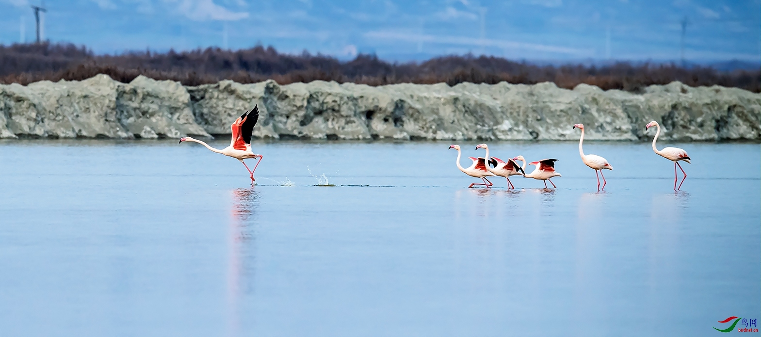 ������ɽ���˳��κ���