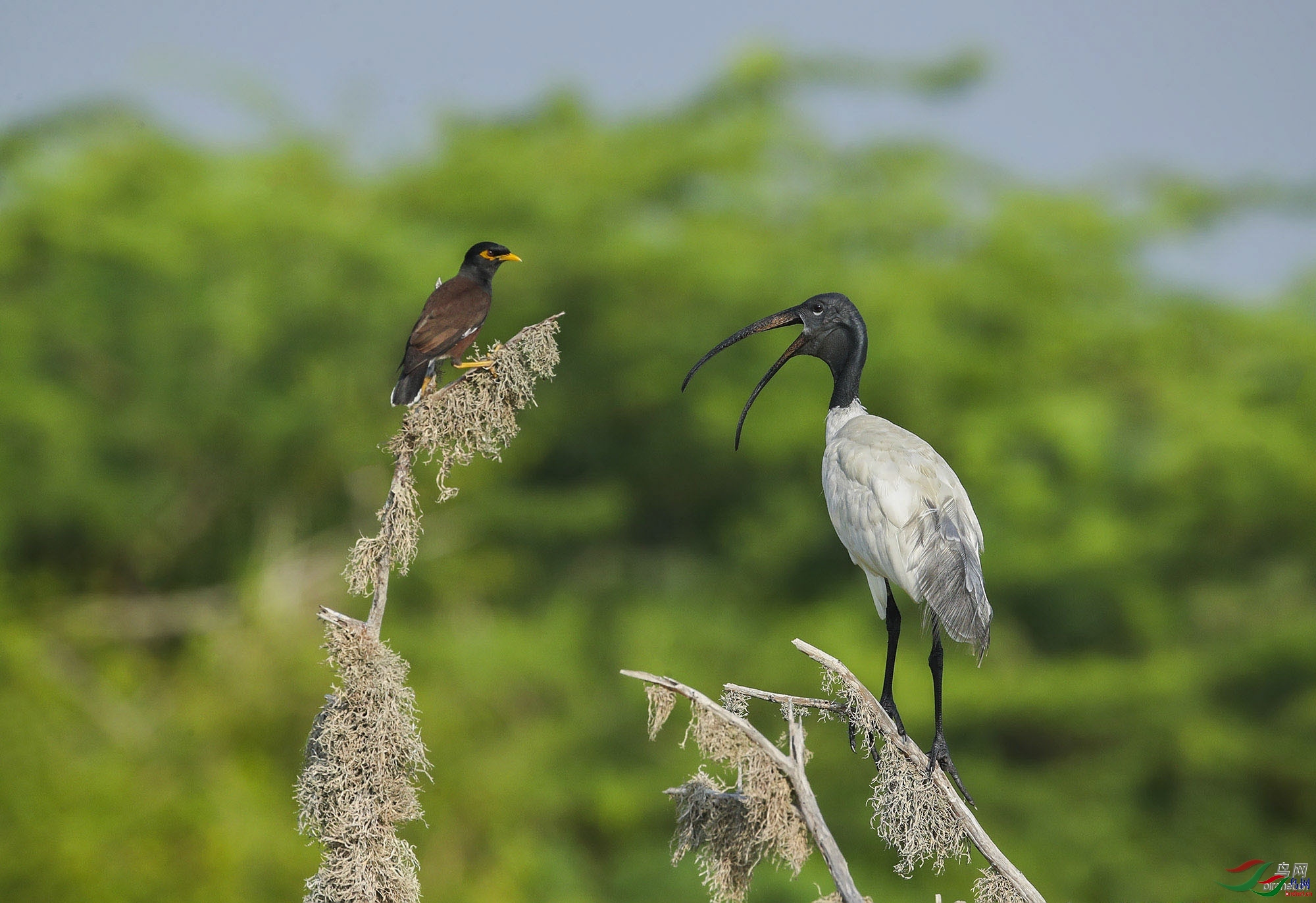 һ���֣����ǣ� ��ʦ����������ʡ�º���徰����������ӯ����.jpg