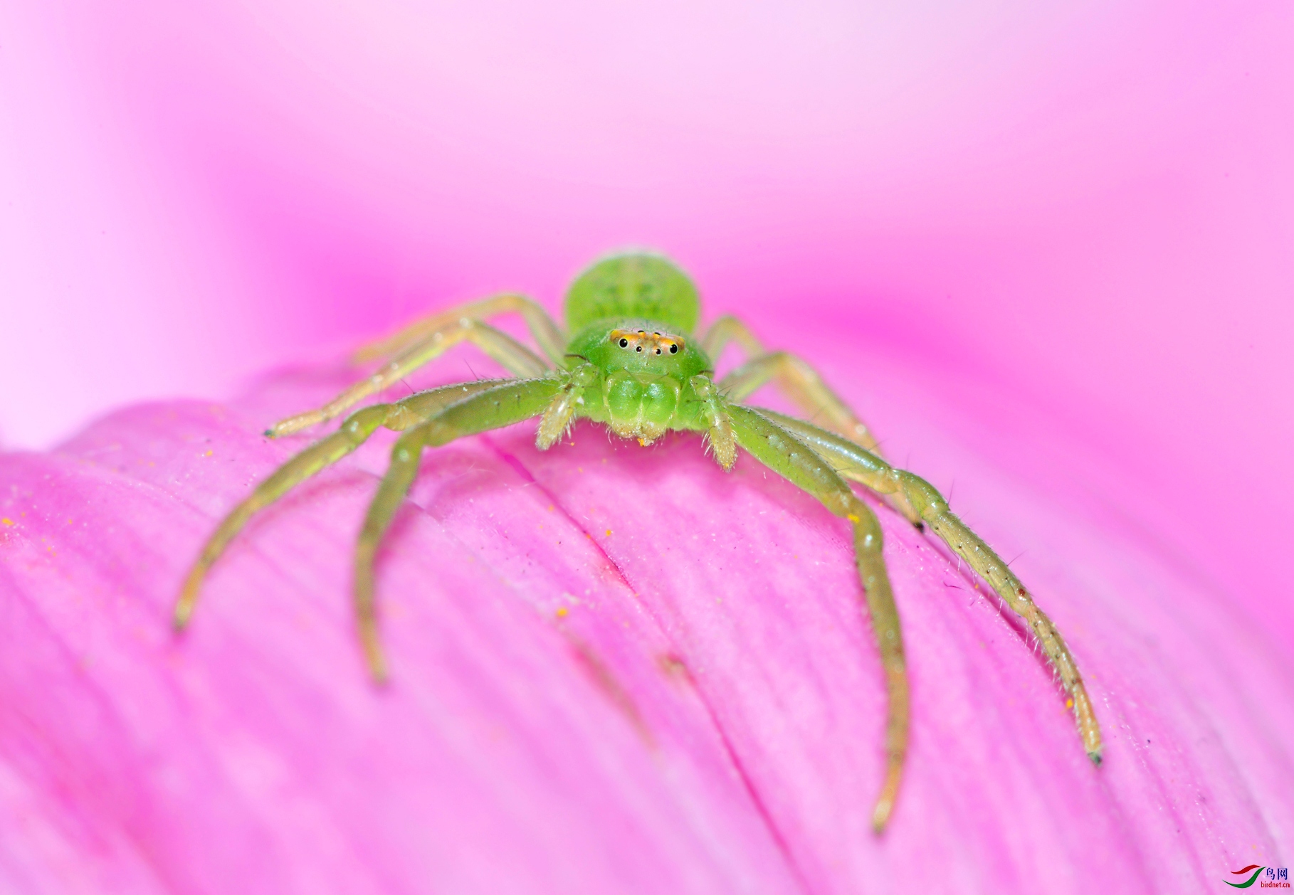 DSC_0796 ��������.jpg