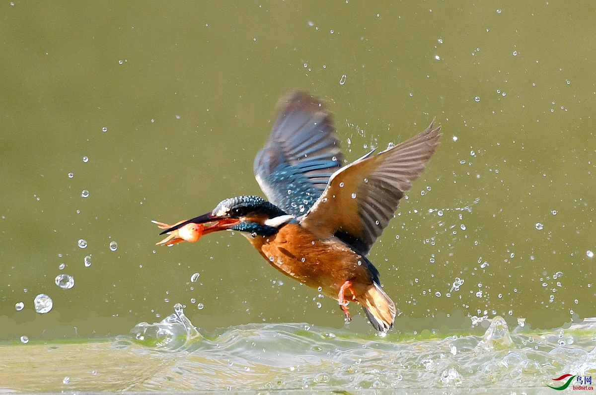 ����֮��