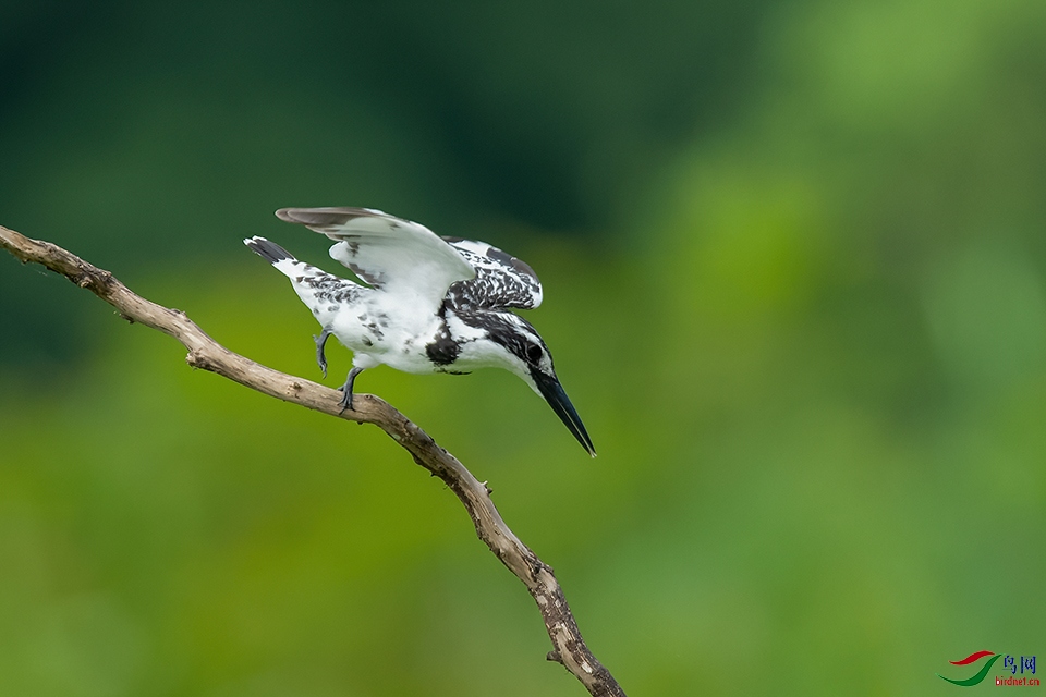 DSC_7334_DxOa.jpg