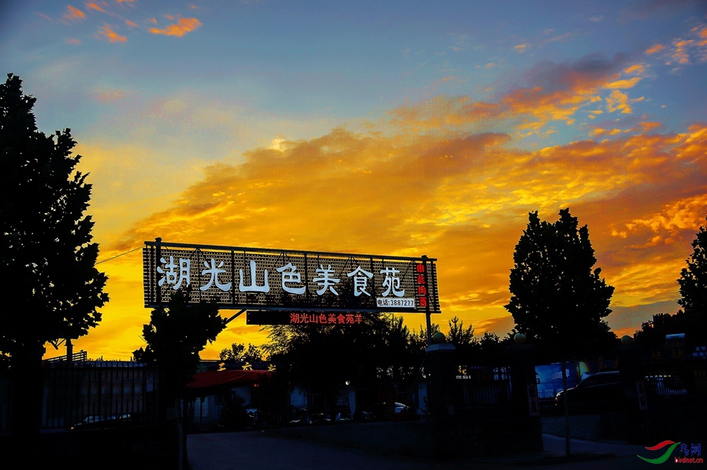 a02.jpg