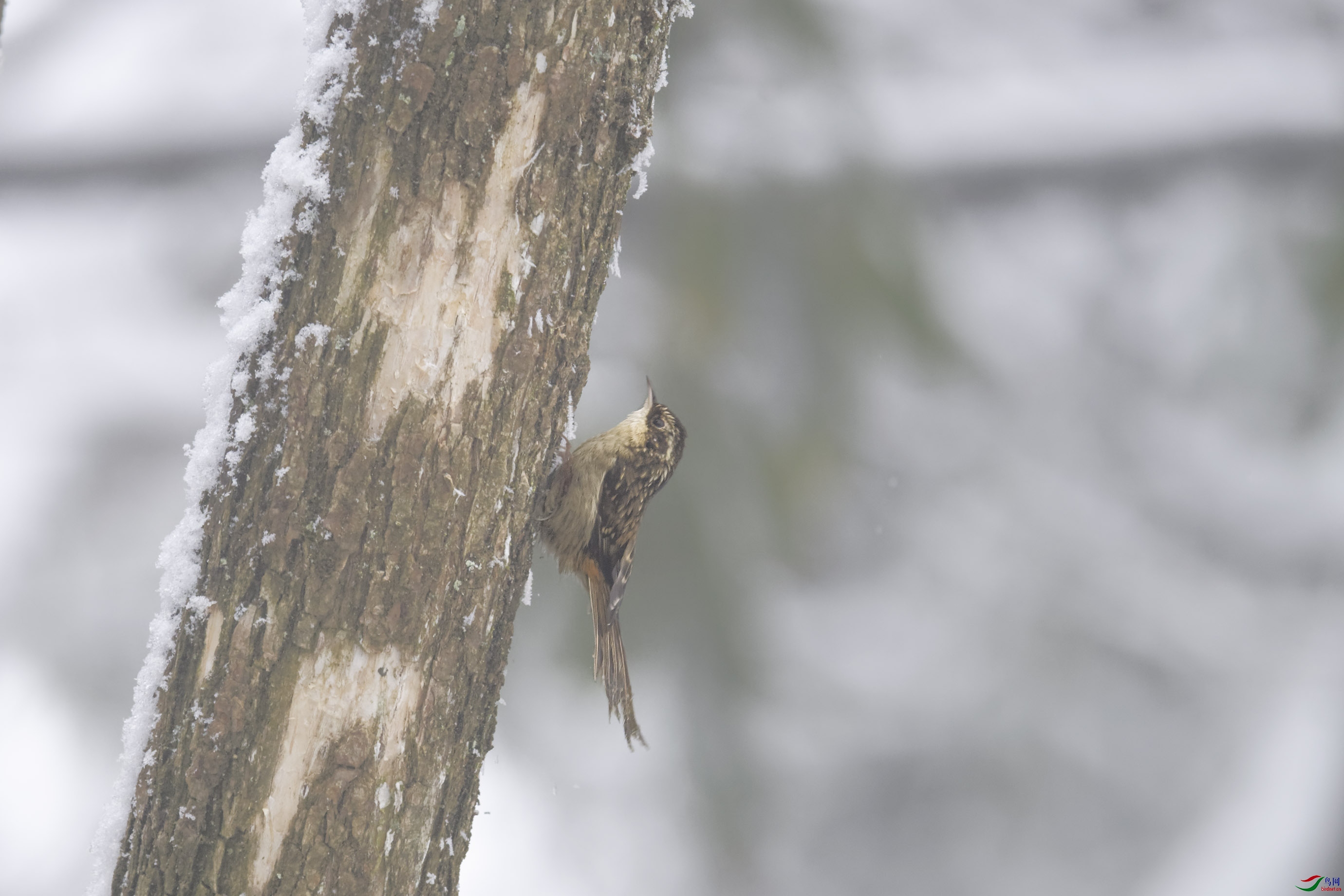 _DSC6078_DxO.jpg