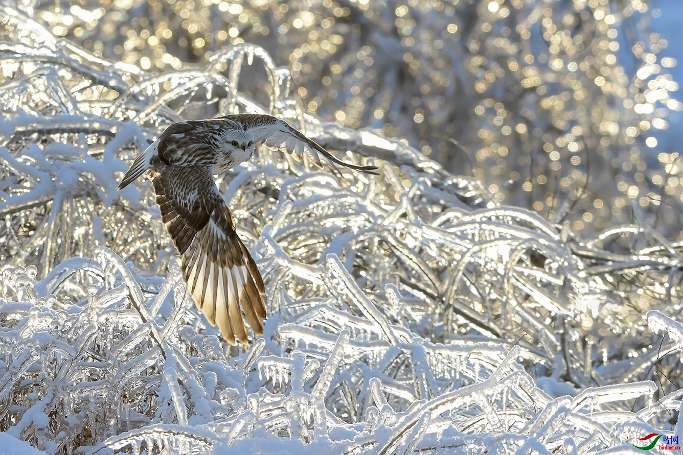 DSC_2025-2.jpg