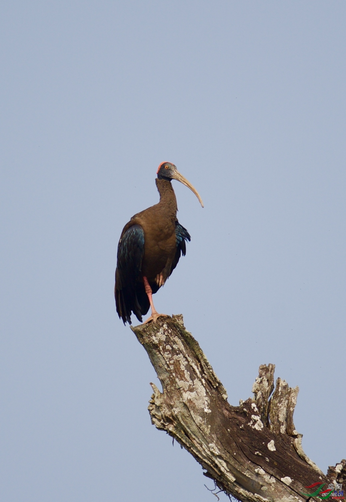 ��Ӱ����  ��ʦ����.jpg